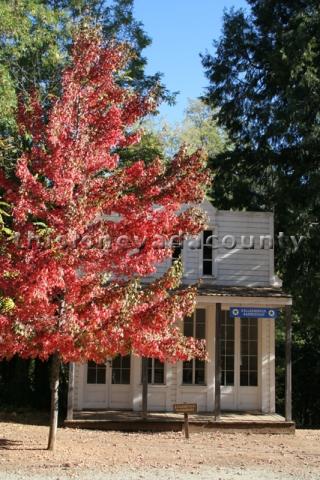 Fall Color at Malakoff Diggins