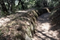 Independence Trail along the old flume