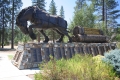 Nevada County Fairgrounds